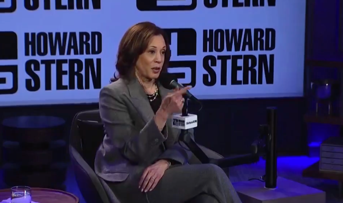 Kamala Harris reveals love for F1 and explains Lewis Hamilton fandom [Video]