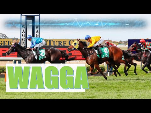 【WAGGA】 AUSTRALIA HORSE RACE ANALYSIS [Video]