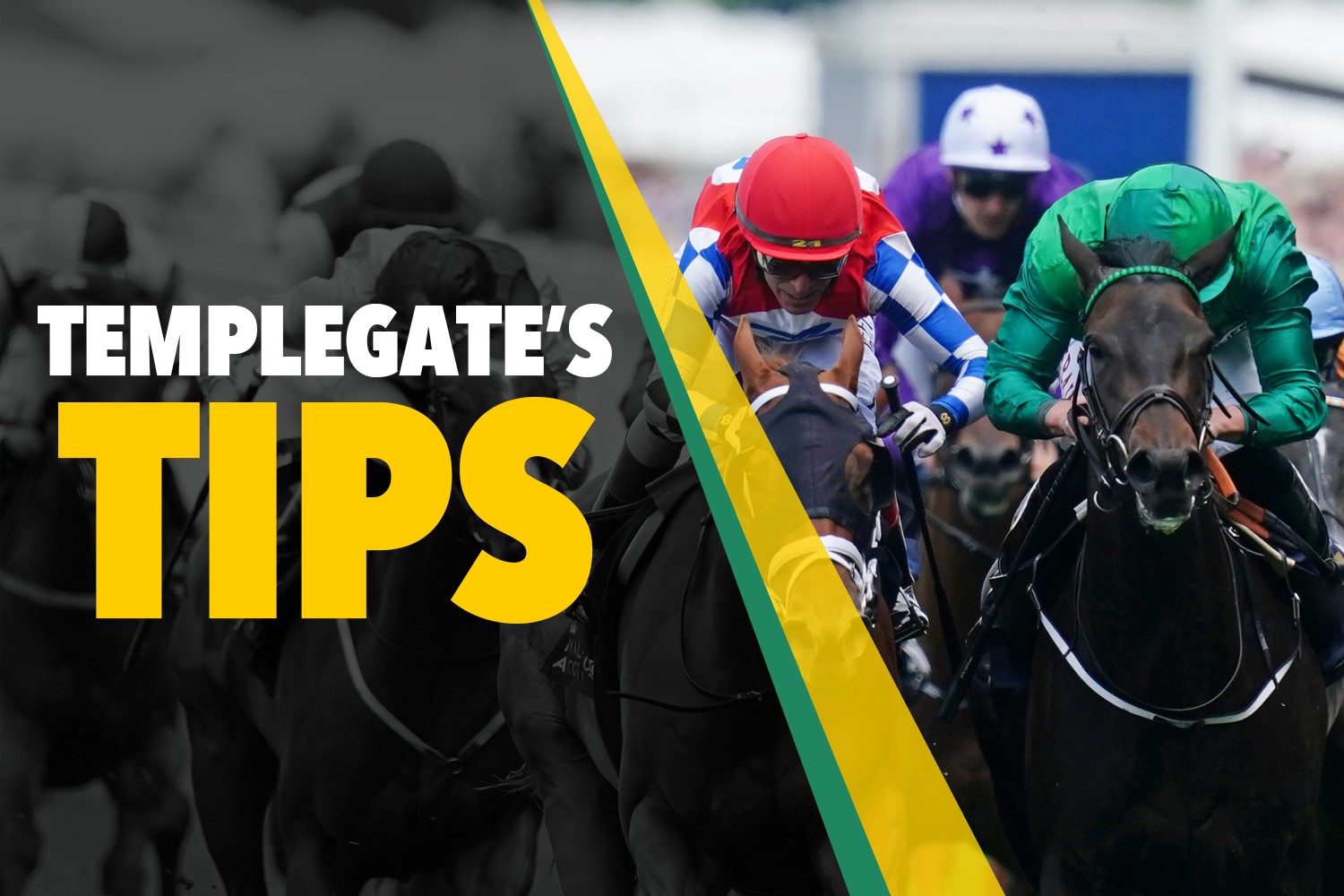 Horse racing tips: Templegate’s 8-1 NAP brings the best form to Newmarket’s big betting race [Video]