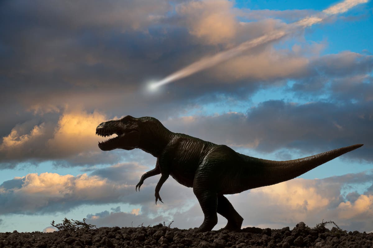 Scientists discover another crucial detail about the asteroid which killed dinosaurs  after 66 million years [Video]