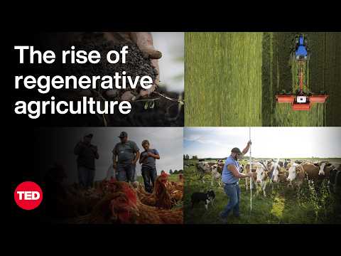 How Regenerative Agriculture Brings Life Back to the Land | Gabe Brown | TED [Video]