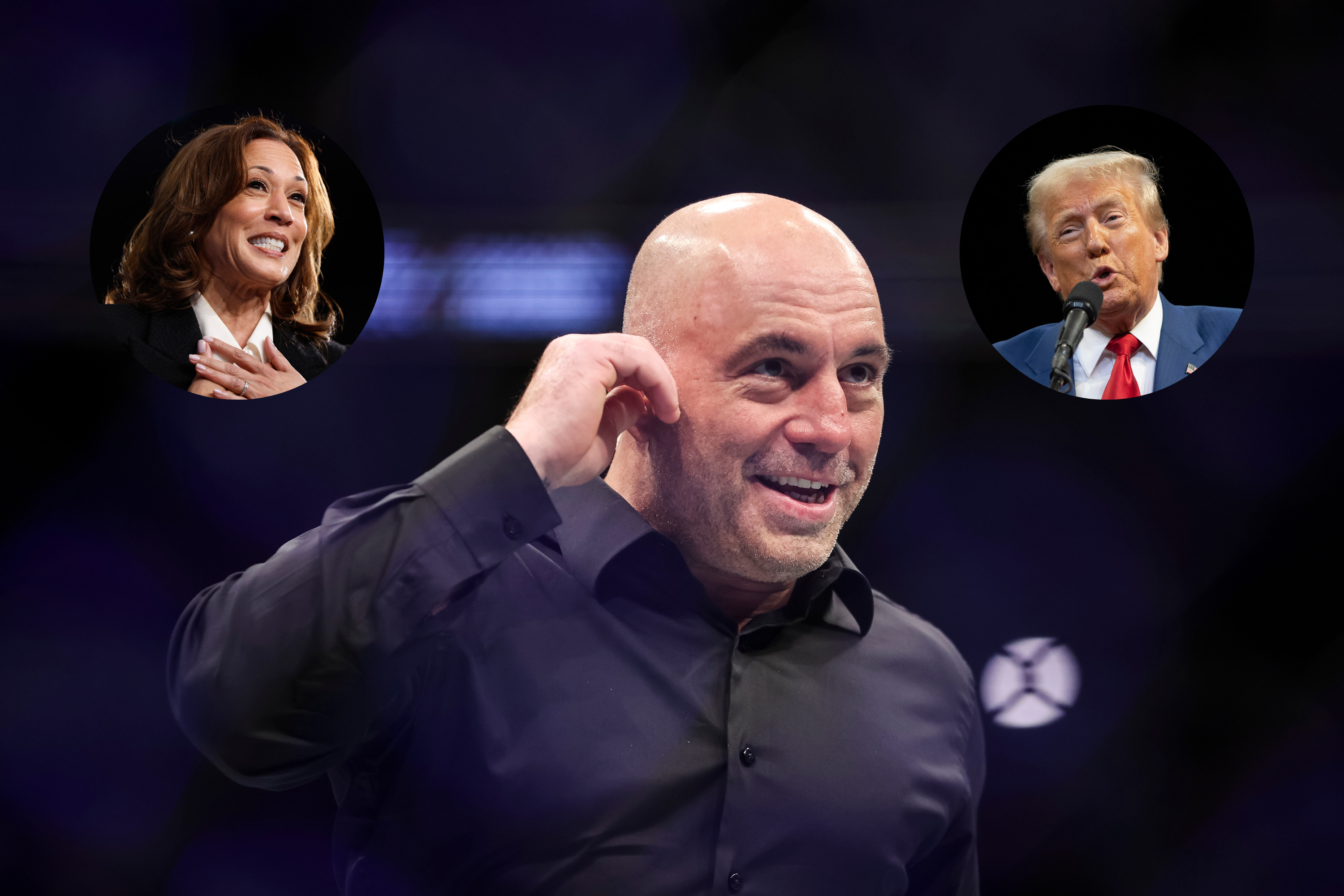 Who Is Joe Rogan Voting For? We Asked ChatGPT [Video]