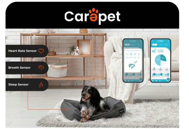 Pet-Monitoring Smart Beds : Carepet [Video]