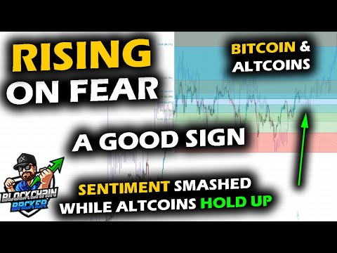 CRYPTO BOUNCES on FEAR, Bitcoin Price Chart Enters Chop Zone, Altcoin Market Holding Up [Video]