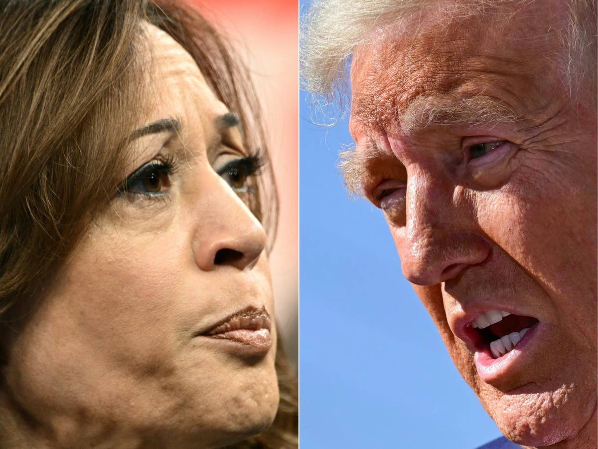 A historic gender gap is emerging ahead of the election and will likely decide if Trump or Harris wins [Video]