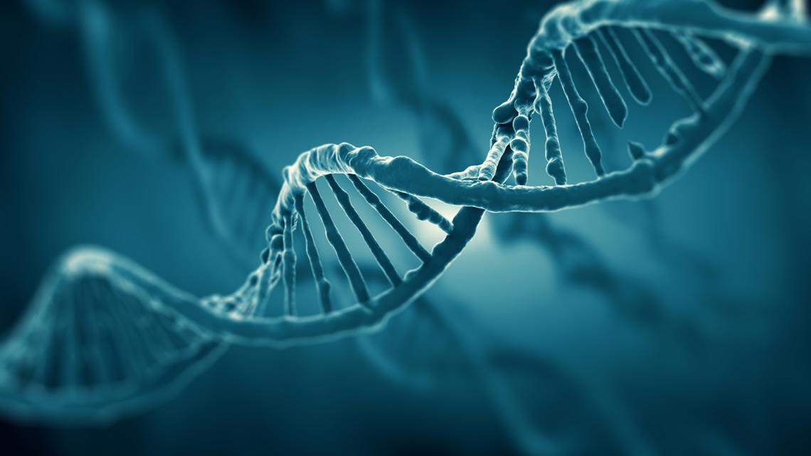 Study: DNA testing less accurate for specific groups of people [Video]