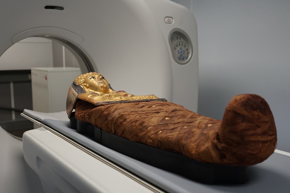 CT scans finally reveal how 3,000-year-old Egyptian locked mummy was enclosed in sealed coffin [Video]