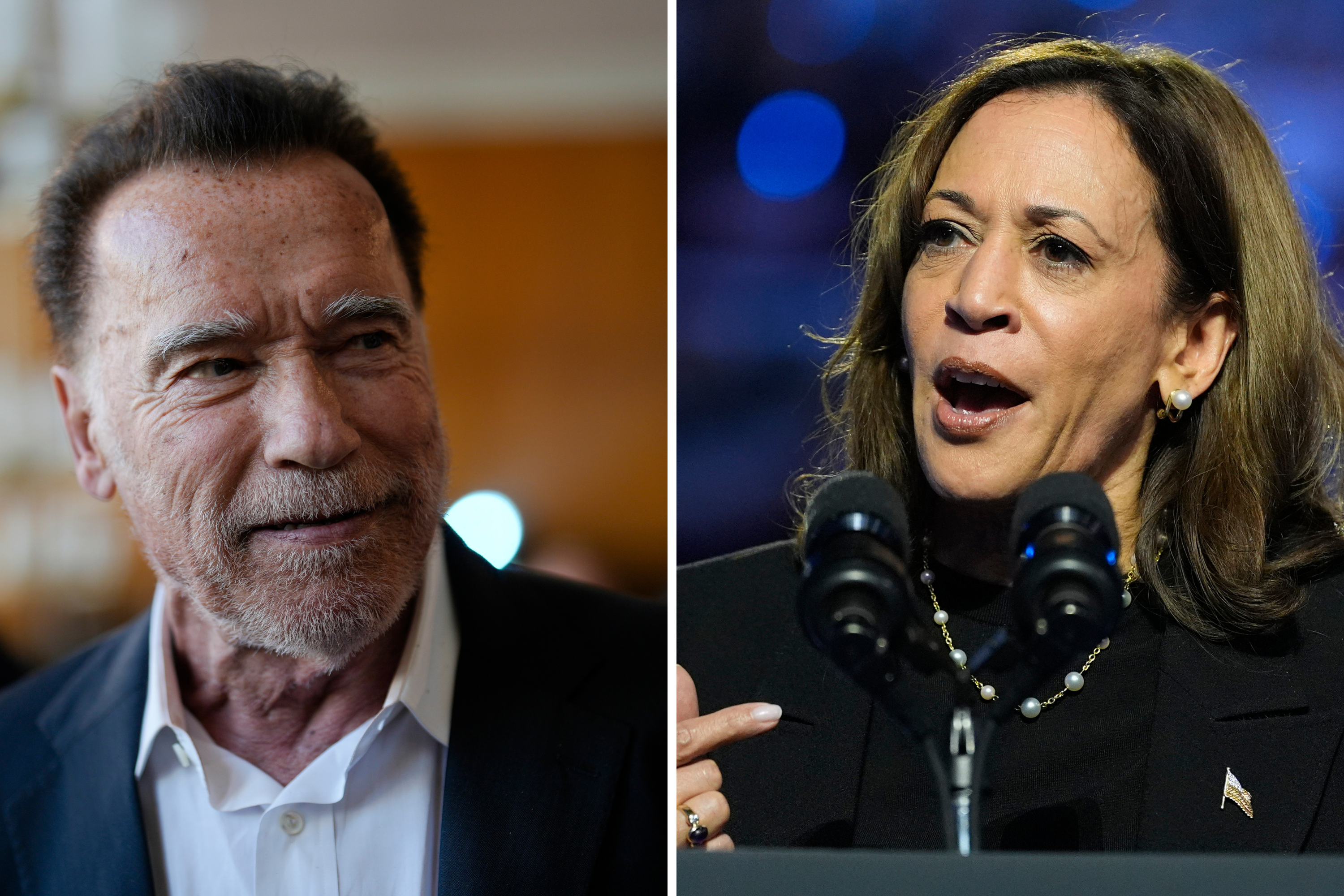 Graph Shows Arnold Schwarzenegger’s Following Spike After Harris Endorsement [Video]