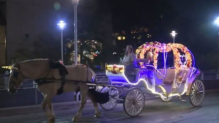 City Council holds briefing on horse carriage phase-out plan [Video]