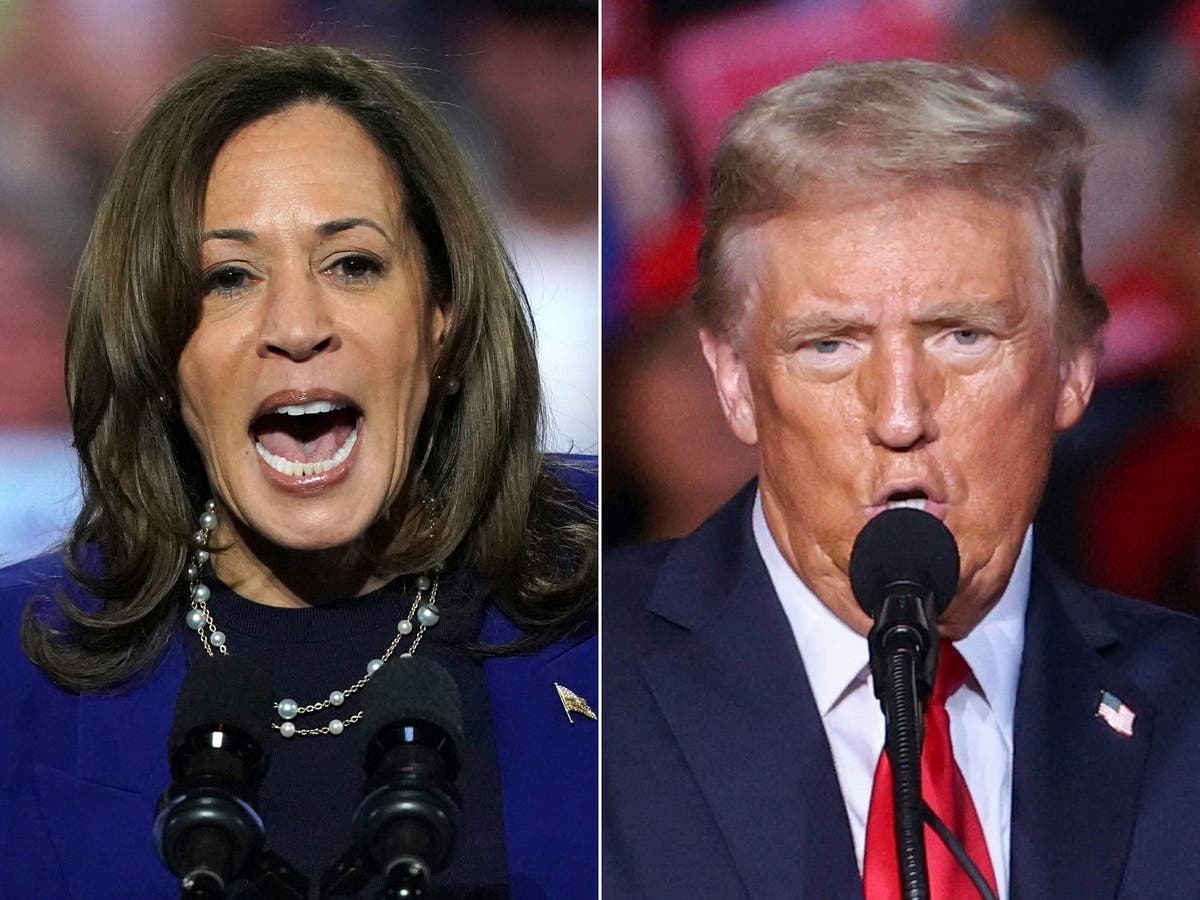 Latest poll finds Harris narrowly wins enough swing states to become first female president: Election 2024 live updates [Video]