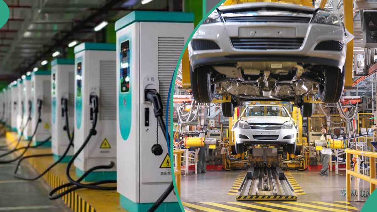 FG Makes Move for Local Manufacturing of Electric Vehicles [Video]