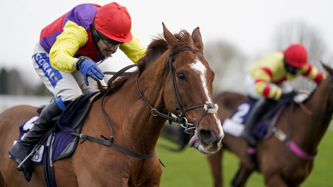 Analysis and tips for the November Handicap, Grand Sefton and Badger Beers Chase [Video]