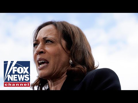 ‘Nothing to show for it’: Harris’ billion-dollar campaign accrues $20 million in debt [Video]