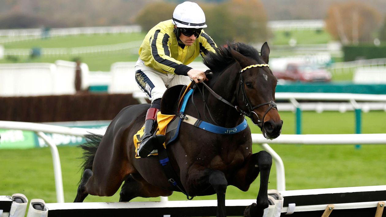 Timeform analysis | Key performances including Potters Charm and East India Dock [Video]