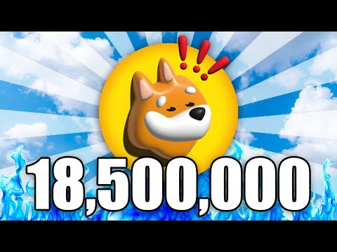 What 18,500,000 BONK Coins Will Be Worth in 2025… [Video]