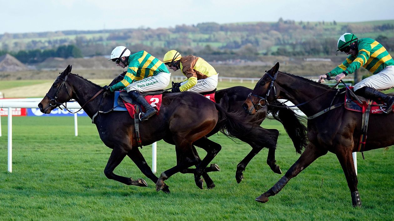 Timeform analysis | Key performances including Brighterdaysahead and Fact To File [Video]