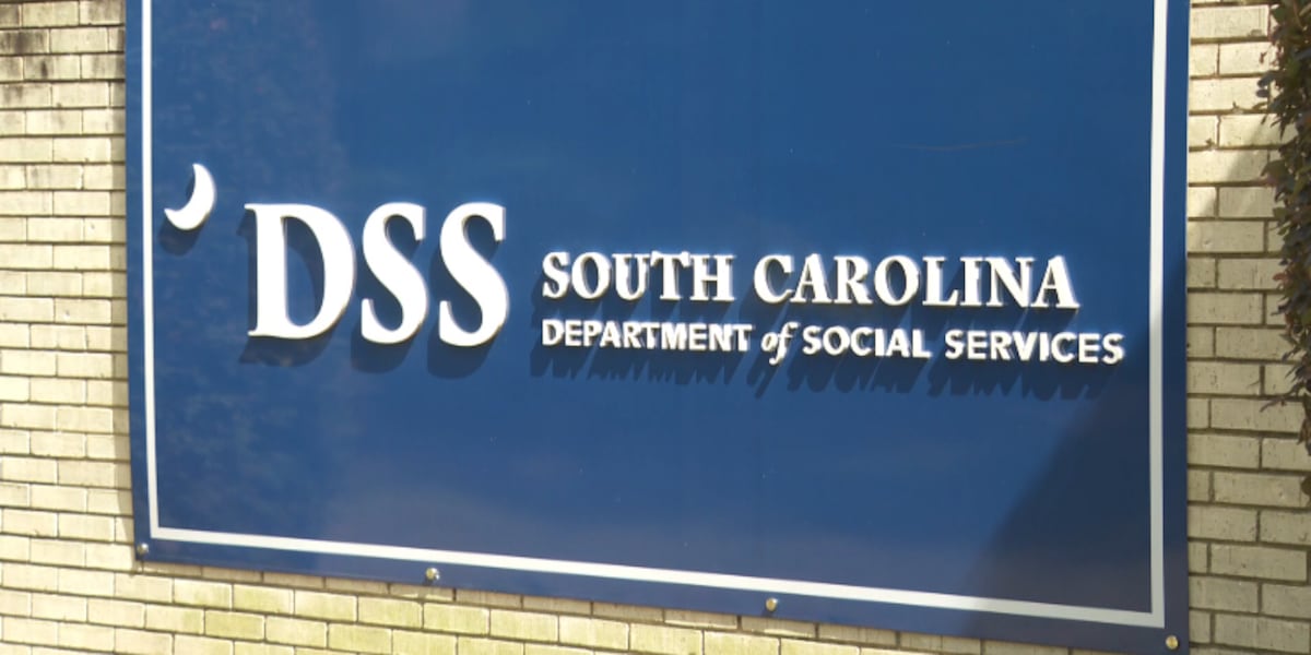 With federal funds gone, DSS seeks money to support childcare in next SC budget [Video]