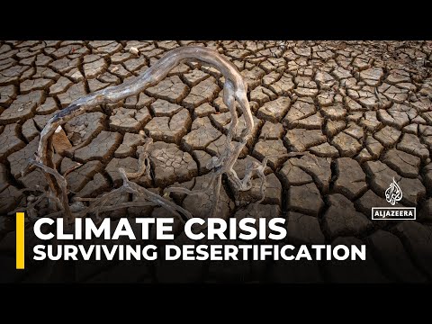 Riyadh UN climate conference: Delegates focus on global desertification crisis [Video]