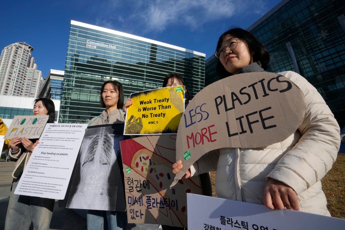 Why talks to create a historic treaty against plastic pollution collapsed [Video]