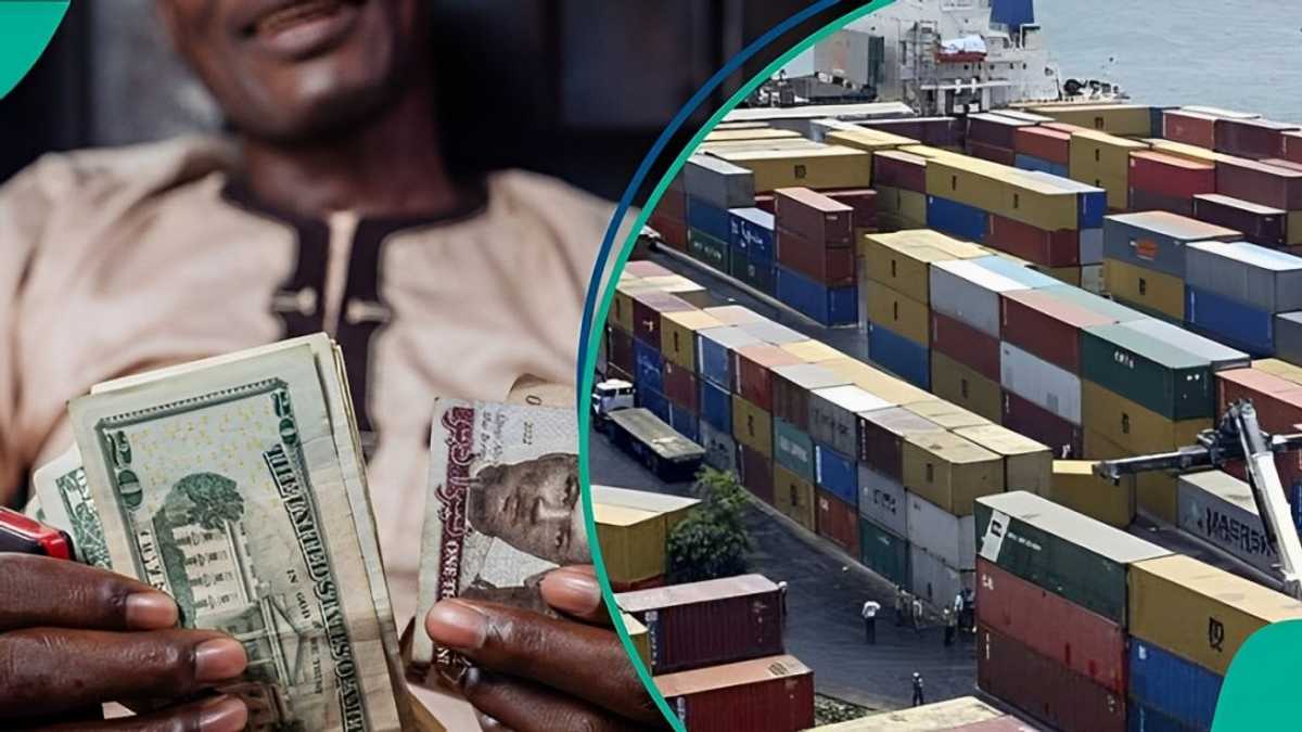 CBN Sets New Customs Exchange Rate To Clear Goods, Importers To Pay More [Video]