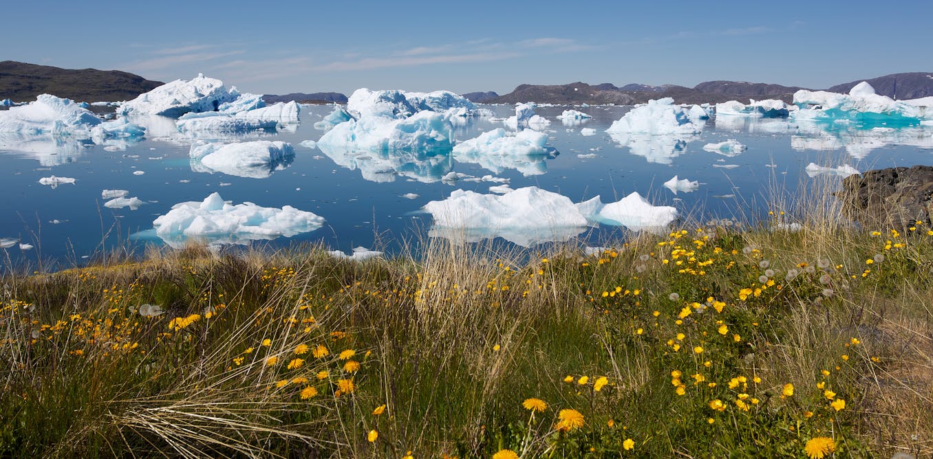 Greenland is getting greener  helped by a mining company and a group of tree enthusiasts [Video]