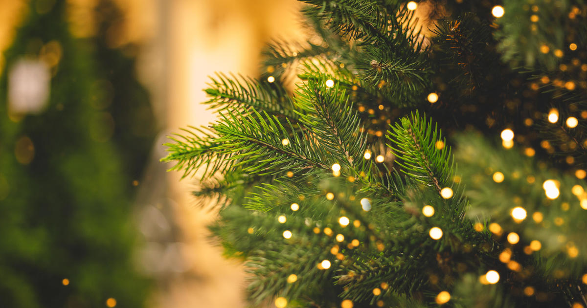 Still need to buy a Christmas tree? Here’s the good news. [Video]