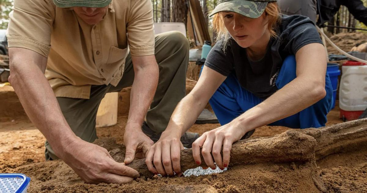 Oldest U.S. John Doe Investigations: Historic Project to Identify America’s First Veterans Begins This Month | PR Newswire [Video]