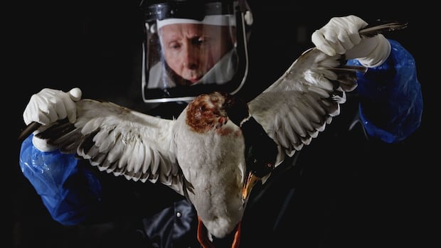 H5N1. Ozempic. Toxic drugs. Here are the health stories we’re watching in 2025 [Video]