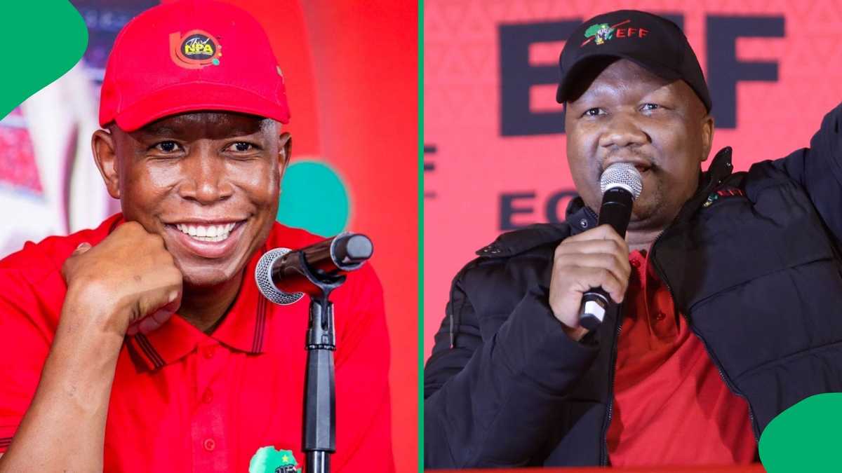 Economic Freedom Fighters Announces Top 6 Central Command Team Members [Video]