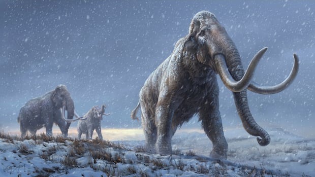 Early humans were ‘big game hunters’ with mammoth appetites, new research shows [Video]