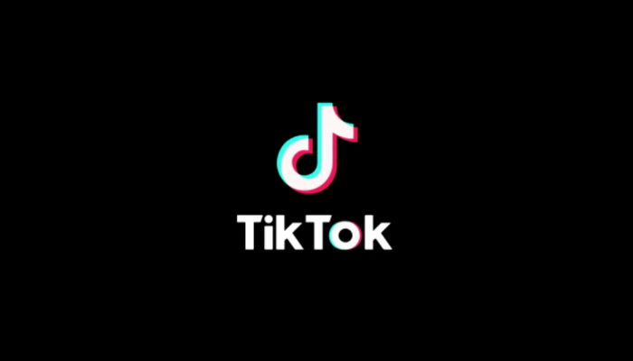 Wont Let Go? TikTok Hit with Latest Defeat Amid Impending Deadline [Video]