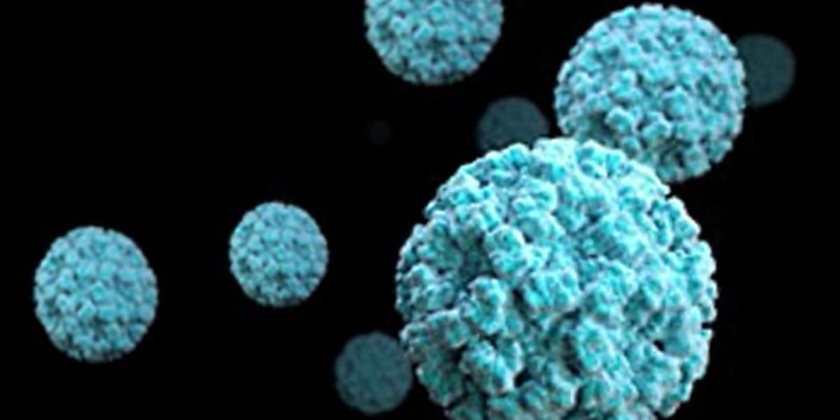 Highest levels of norovirus this year detected in Wausau area communities [Video]