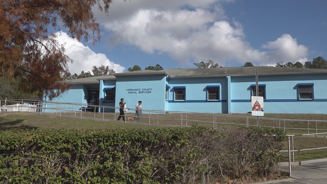 Hernando County Sheriff’s Office taking over animal services, county shelter [Video]