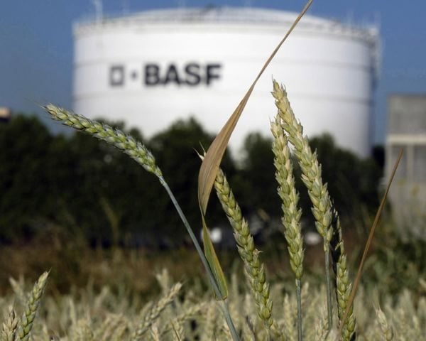 Louis Dreyfus to buy BASFs food and health performance ingredients business [Video]