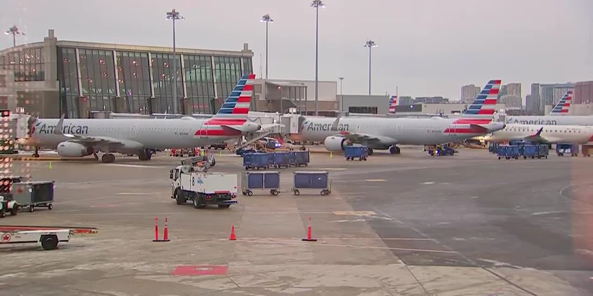 Flight temporarily halted as millions make Christmas journeys [Video]