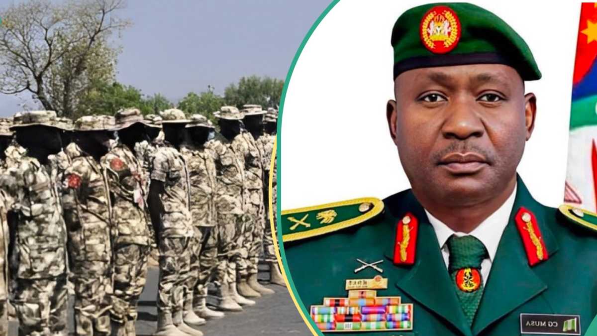 Sokoto Airstrike: Security Expert Sends Message to Nigerian Army, Makes 2 Demands [Video]