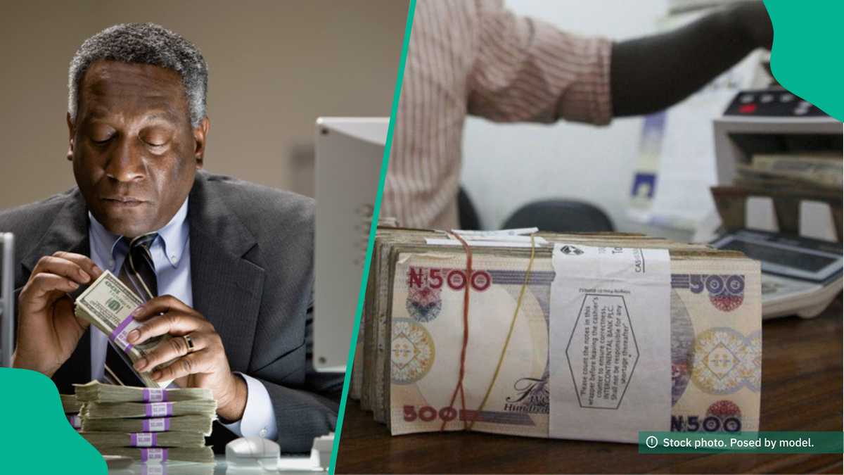 Expert Predicts Naira Stability in 2025, Lists Factors to Drive Growth [Video]