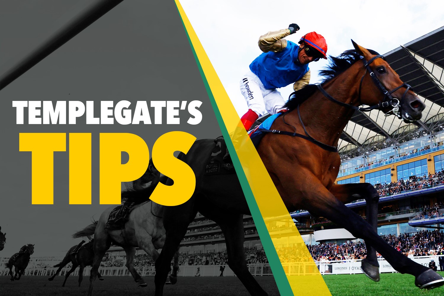 Horse racing tips: ‘Nicky Henderson wisely steps her up in trip’ – Templegate’s 7-2 NAP for trainer who can’t miss [Video]