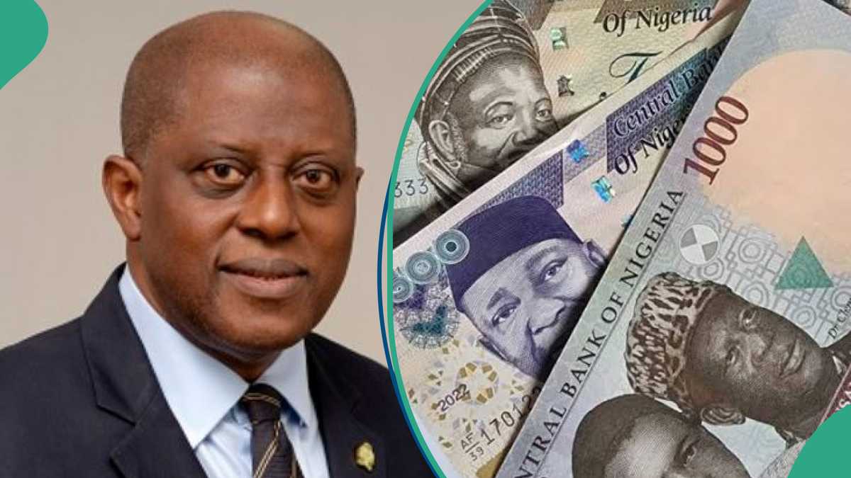 Naira Weakens in Official Market, Loses 41% amid CBN Reforms [Video]