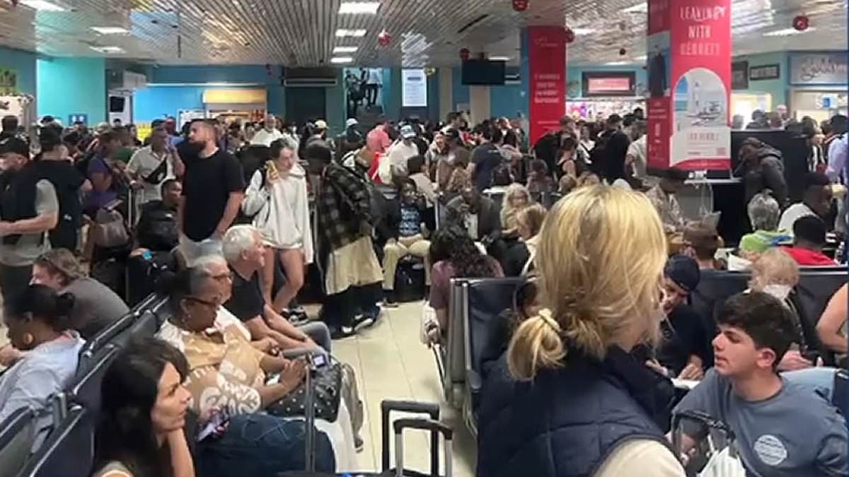 Furious Jet Blue customers cast out on street ‘like animals’ after canceled flight in the Caribbean [Video]