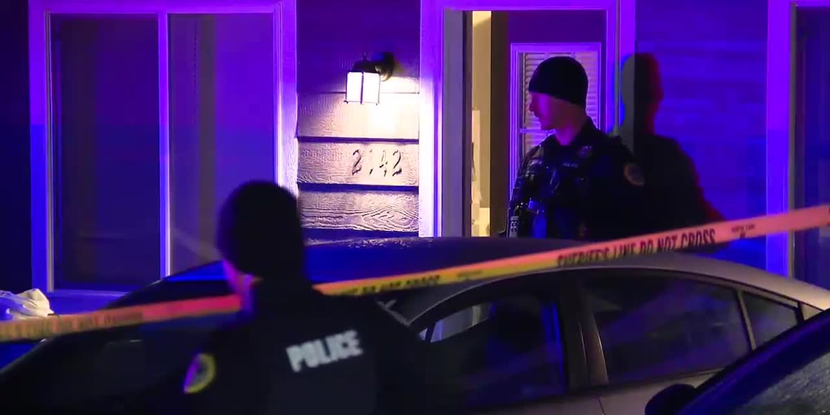 Des Moines Police: Man fired gun at officers [Video]