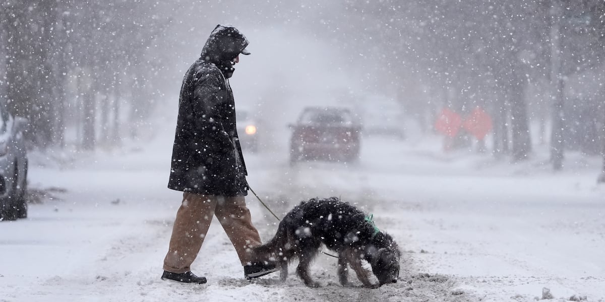 Major US winter blast shuts down schools and government offices in several states [Video]