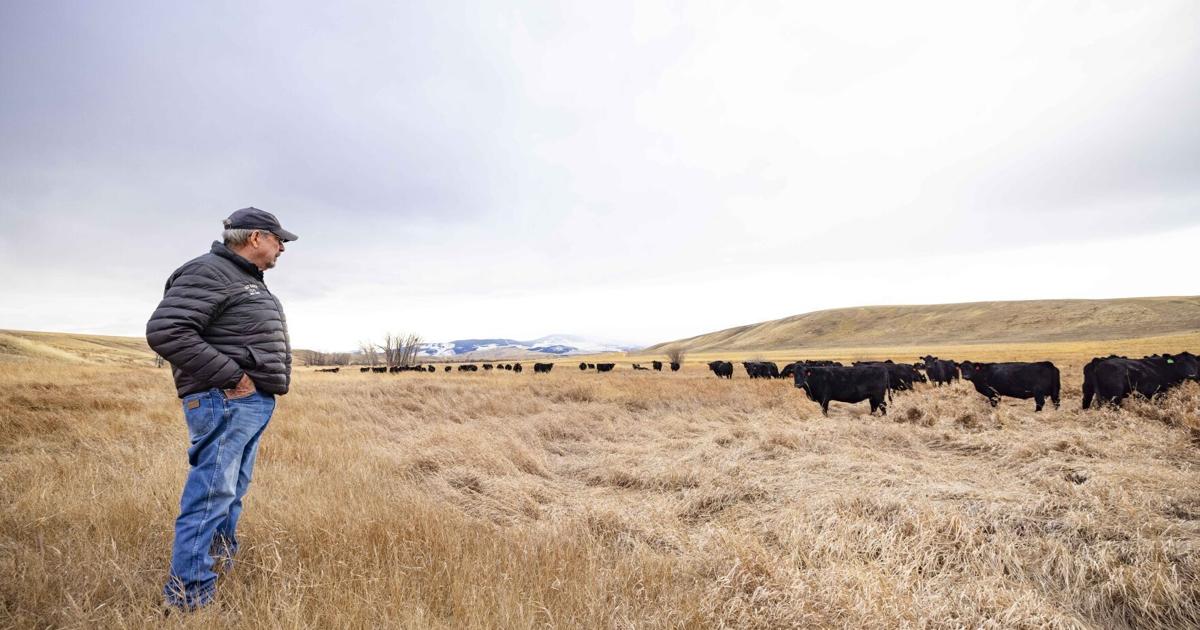 Montana ranch sales inventory down for second year in a row [Video]